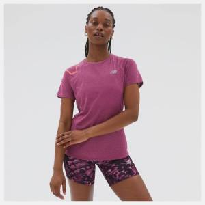 New Balance Printed Impact Run Korta Sleeve T-shirt Dam Rosa | NB178OZK